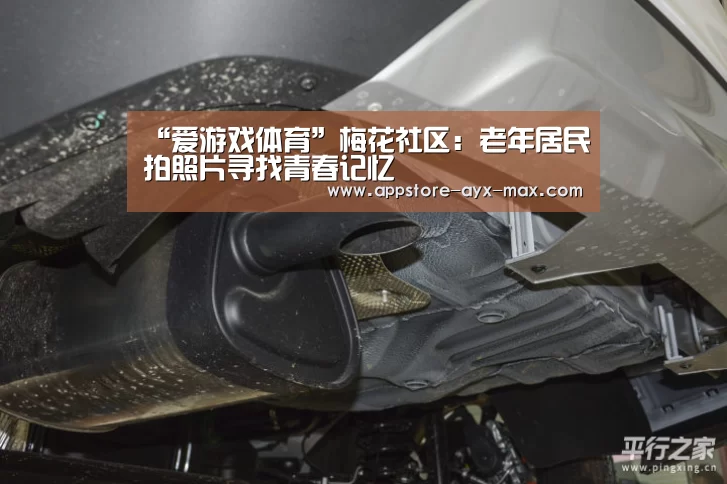  爱游戏体育App下载