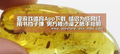  爱游戏体育App下载
