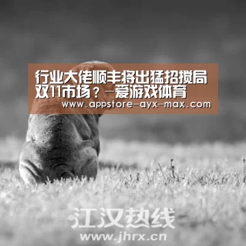 行业大佬顺丰将出猛招搅局双11市场?-爱游戏体育(图3) 爱游戏体育App下载