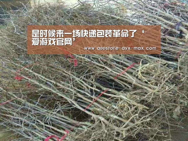 爱游戏体育