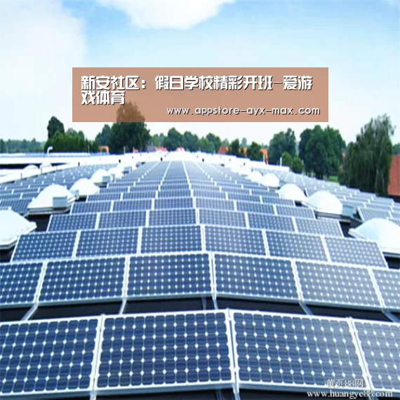 新安社区:假日学校精彩开班-爱游戏体育(图3) 爱游戏体育