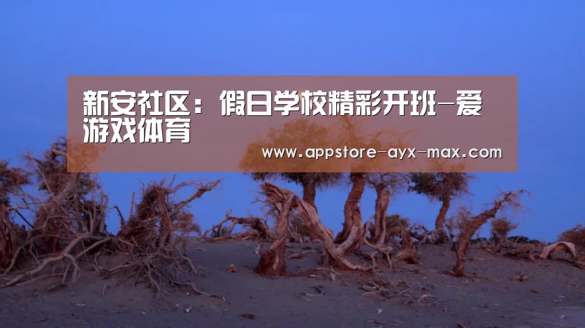 新安社区:假日学校精彩开班-爱游戏体育(图1) 爱游戏官网