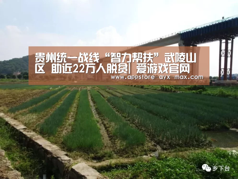  爱游戏体育App下载