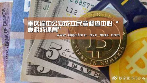 重庆渝中公安成立民意调查中心“爱游戏体育”(图1) 爱游戏官网