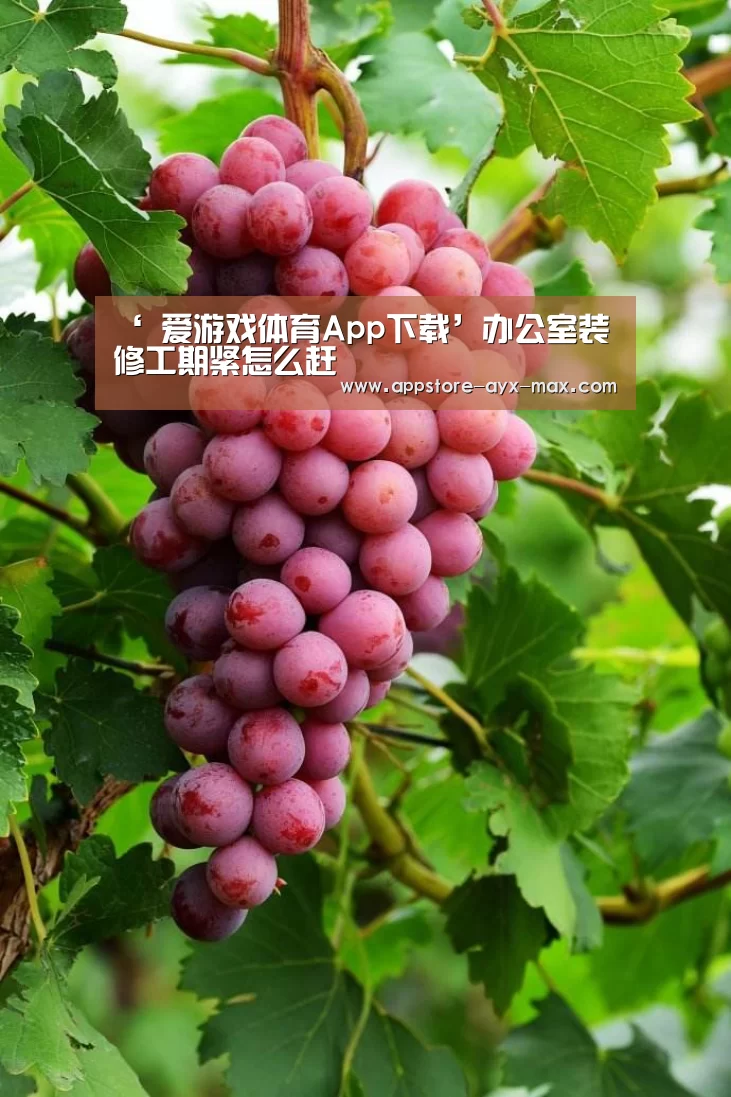 ‘ 爱游戏体育App下载’办公室装修工期紧怎么赶(图2) 爱游戏体育App下载